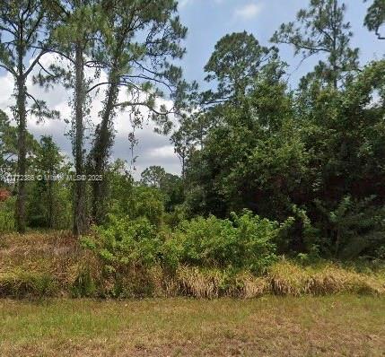 Excellent place to build your dream Home! Sebring is located to: From Disney 1.5 hours , from Tampa 1.5 hours, from Ana Maria Island Beach 1.45 hours Sun 'N Lake Elementary School PK-05 618 Enrollment 1.7 mile Hill-Gustat Middle School 06-10 705 Enrollment 1.6 mile Avon Park High School 09-12 928 Enrollment 5.5 miles