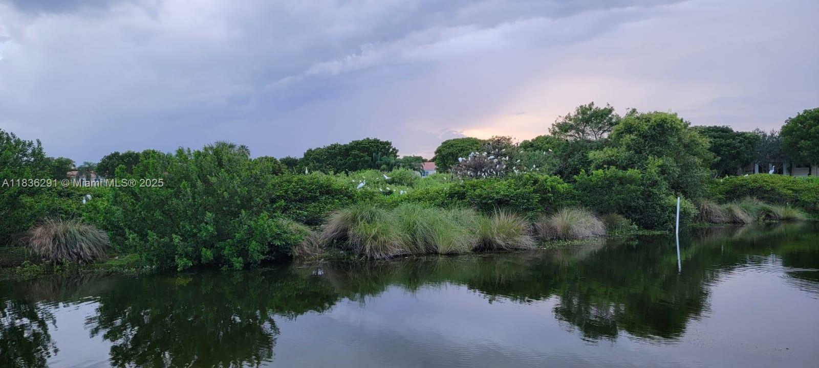 AVENTINE AT MIRAMAR CONDO - Residential