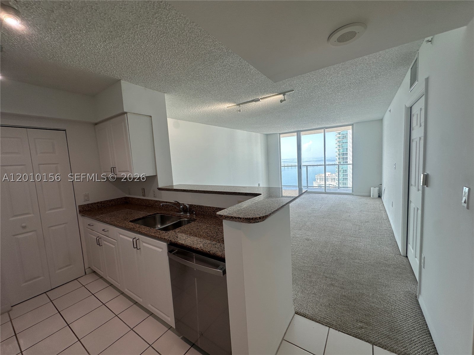 1155 Brickell Bay Dr 3007