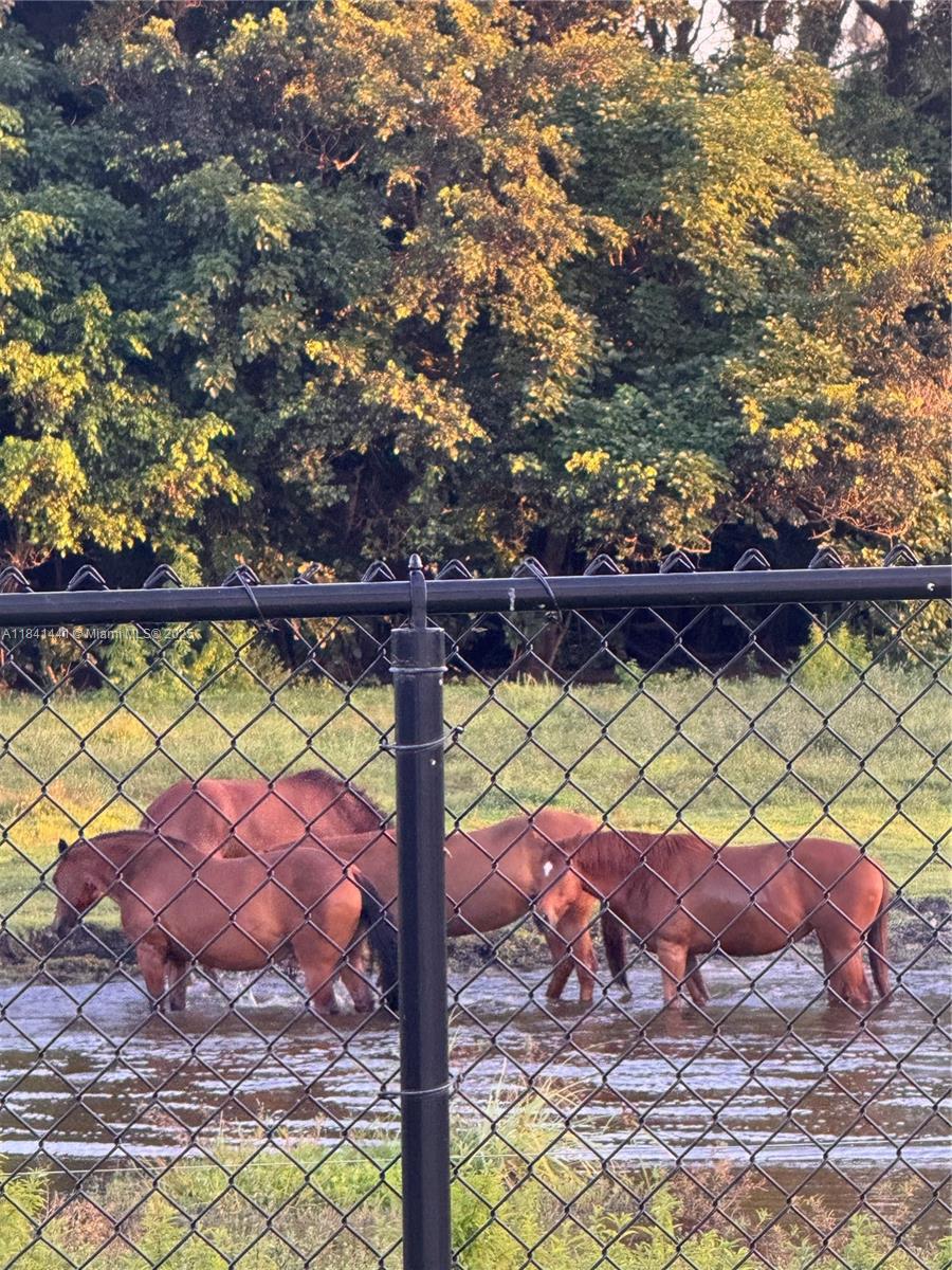 FLAMINGO GROVES - Residential