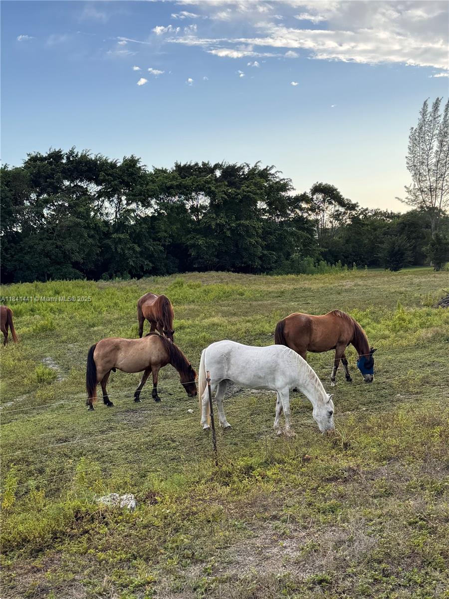 FLAMINGO GROVES - Residential