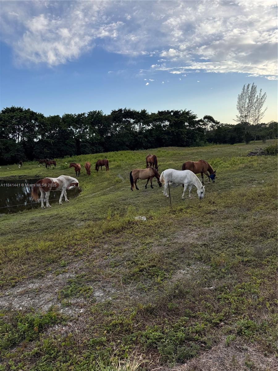 FLAMINGO GROVES - Residential