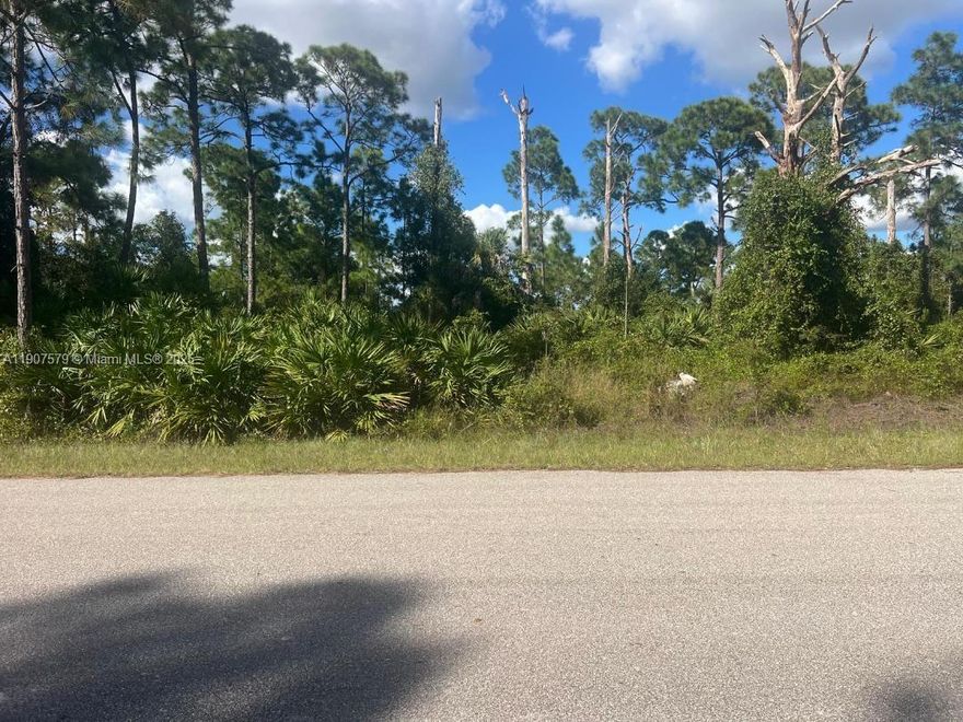 A very nice lot, it's ready to build. It's over half acre. The community is completely quiet and well kept. Come and build your dream house. That's a perfect place for retirement.