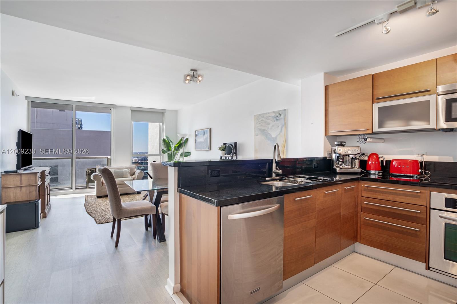 VIZCAYNE SOUTH CONDO - Residential