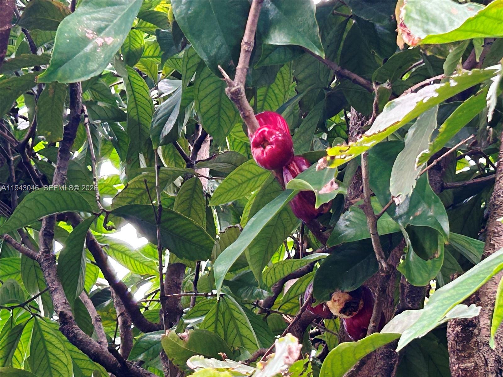 MAINLANDS OF TAMARAC LAKE - Residential