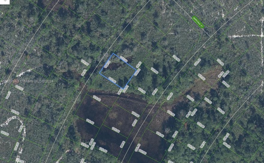 OWNER WILL FINANCE!!! 1 BLOCK FROM GOLF COURSE! Sun N Lakes development is building 100 acre water and sewage facility 5 minutes away. Sun N Lakes community, a perfect place to build your dream home in which to raise your kids or retire. The Sun N Lakes community offers 2 18-Hole championship golf courses, restaurant, clubhouse, gym, playground, community pool, splash pad, community center, fitness center, pickle ball, and tennis. Sebring is centrally located 1.5 hours from Disney, 1.5 hours from Tampa and 1.45 hours from Ana Maria Island Beaches. Located close to Advent health and Sun N Lake Elementary. OWNER WILL FINANCE!!! 3K DOWN 367.44 A MONTH FOR 36 MONTHS AT 7% INTREST.