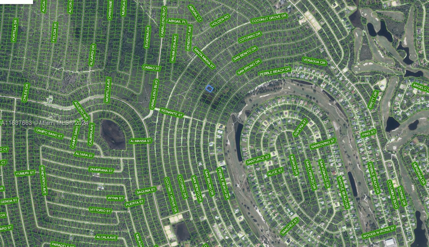 SUN N LAKE EST OF SEBRING - Land