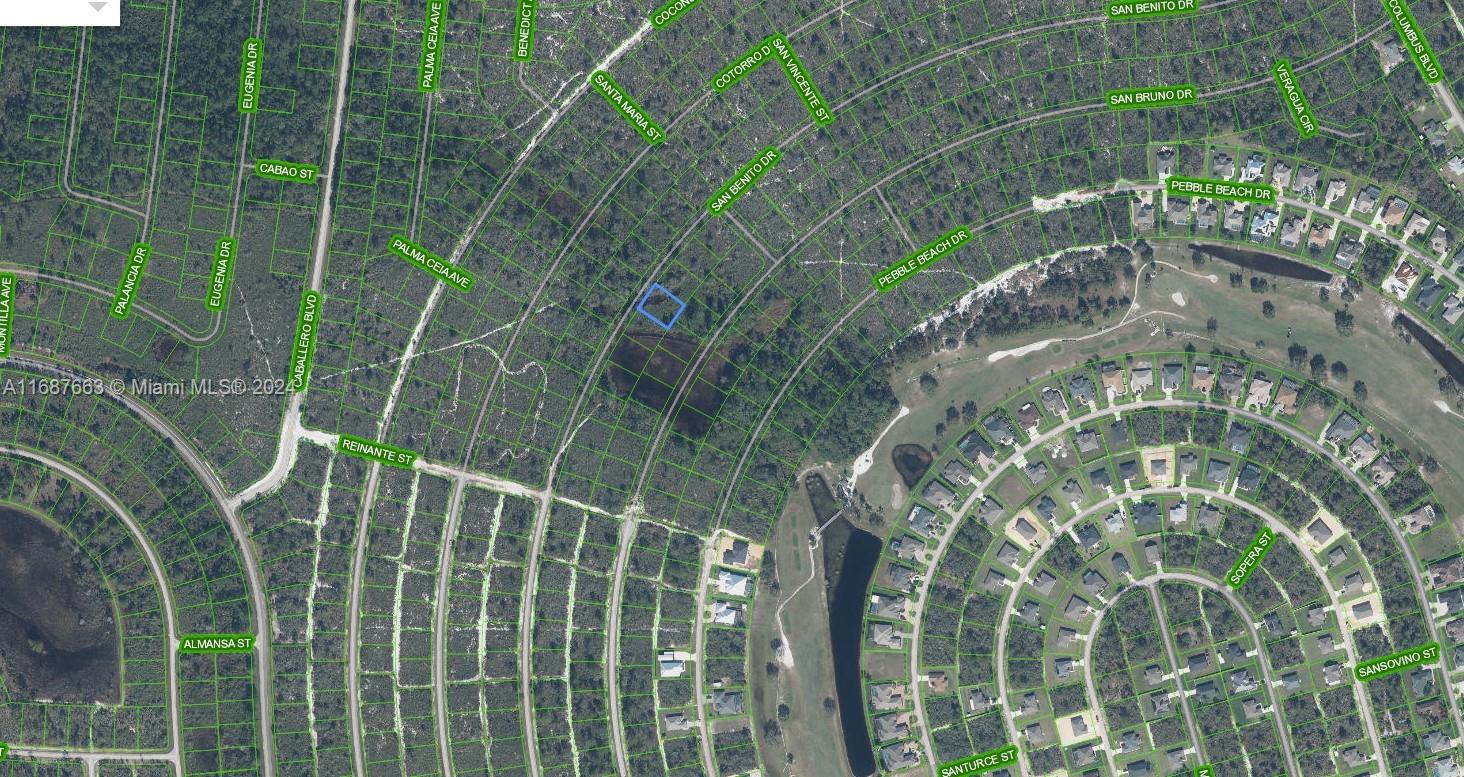 SUN N LAKE EST OF SEBRING - Land