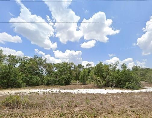 Discover this 0.25-acre residential parcel tucked away at the end of a quiet dead-end road, offering both privacy and convenience. Just minutes from State Road 82, commuting to Fort Myers, local beaches, and shopping centers is a breeze. No HOA, low taxes, title cleared, ideal for build or investment
