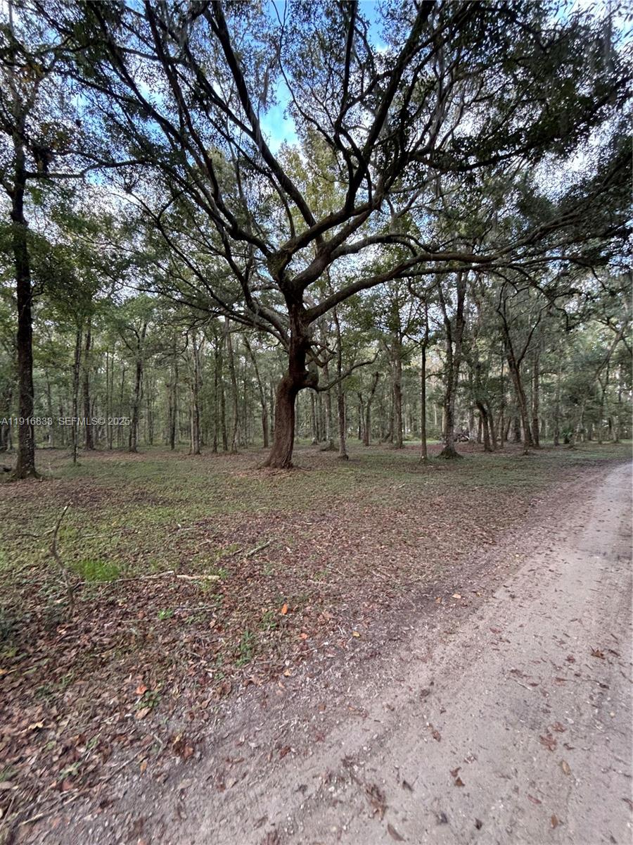 6169 COUNTY ROAD 209 S