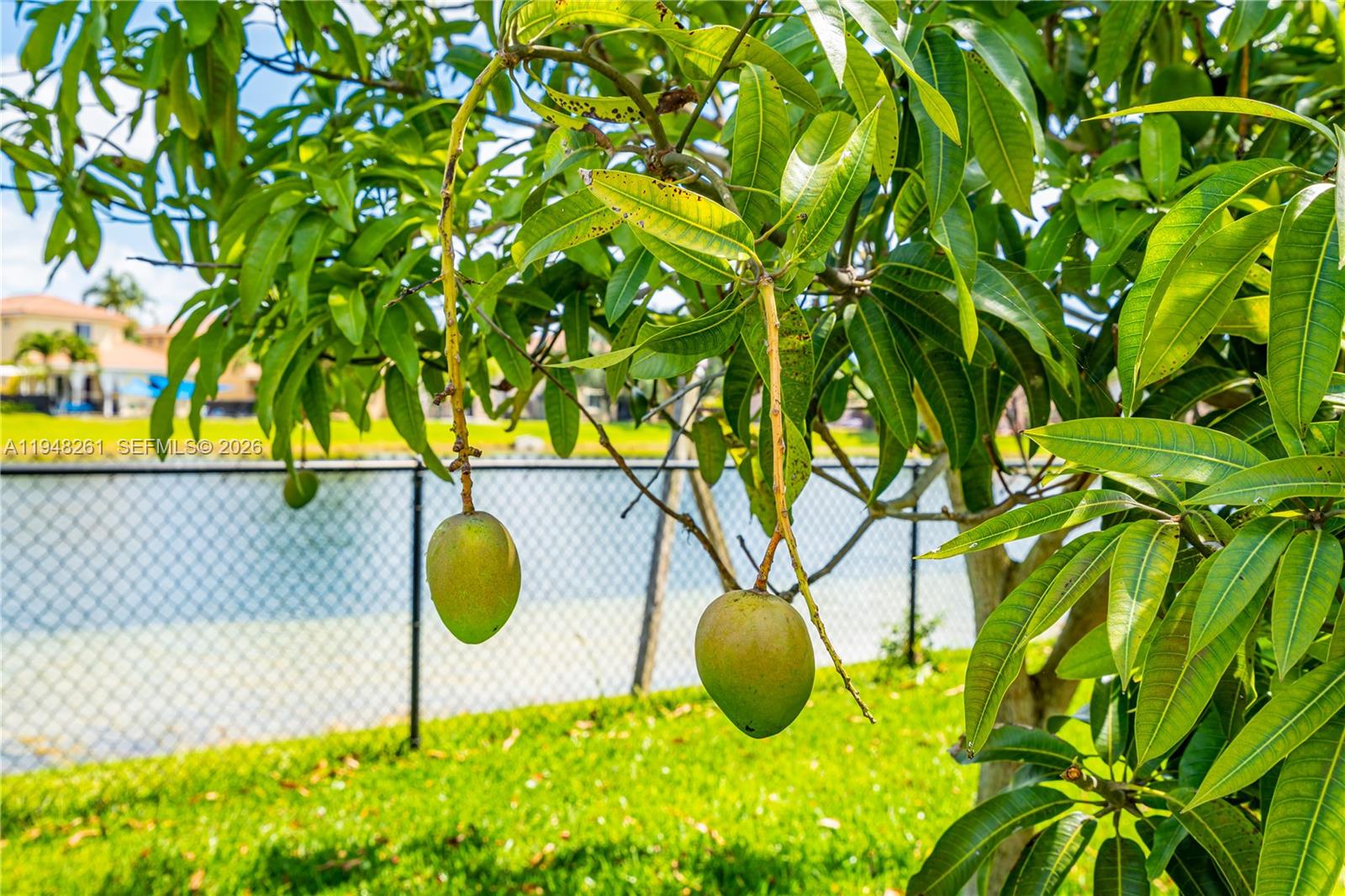 VENTANAS AT HOMESTEAD - Residential
