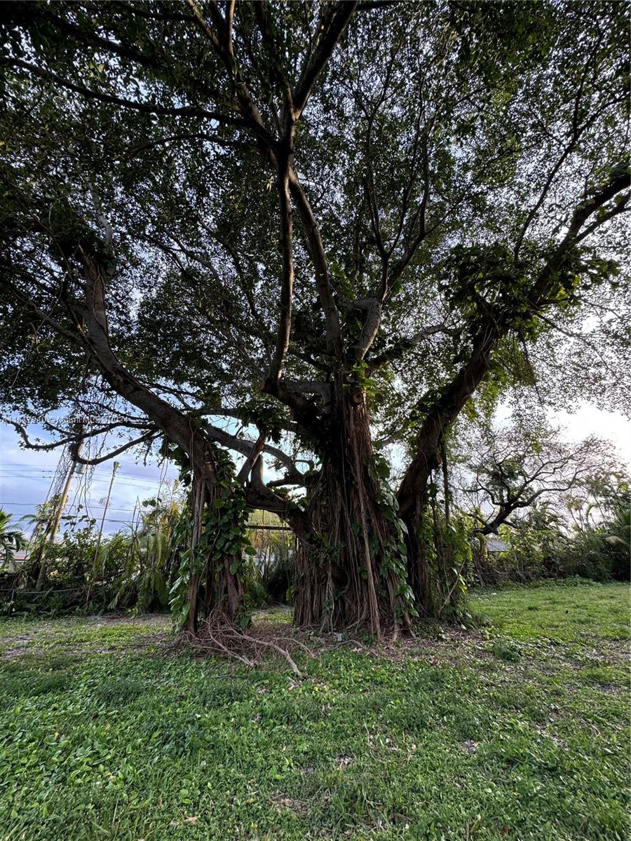 SKYLAKE - Residential