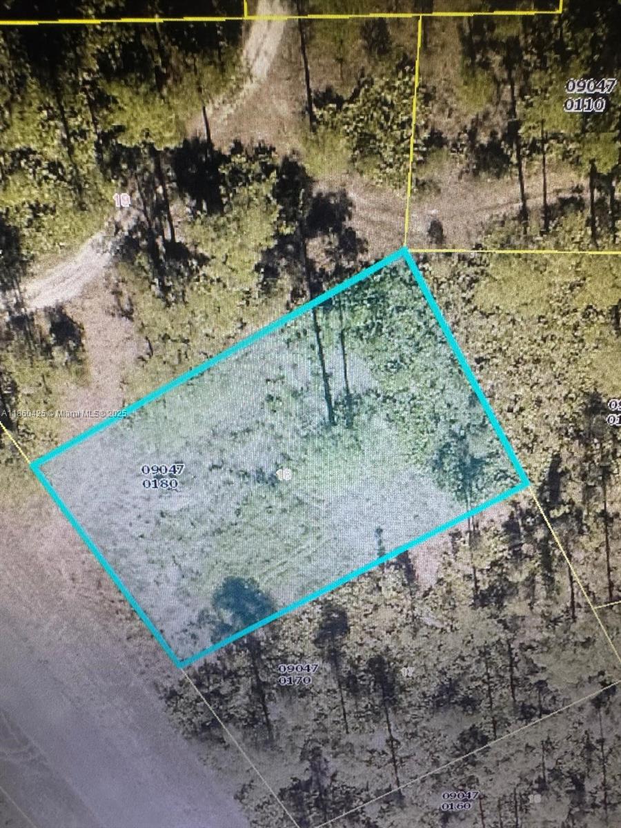 Build your dream home on this 0.25-acre residential lot located in the growing community of Lehigh Acres, Florida. This property offers plenty of space for a single-family home, with room for a pool, garden, or outdoor living area. Conveniently located near schools, shopping, dining, and main roads, this lot provides easy access to Fort Myers, beaches, and Southwest Florida International Airport.
Don’t miss the opportunity to own a piece of land in one of the fastest-growing areas of Southwest Florida. Take the first step toward your new home and schedule a visit today!