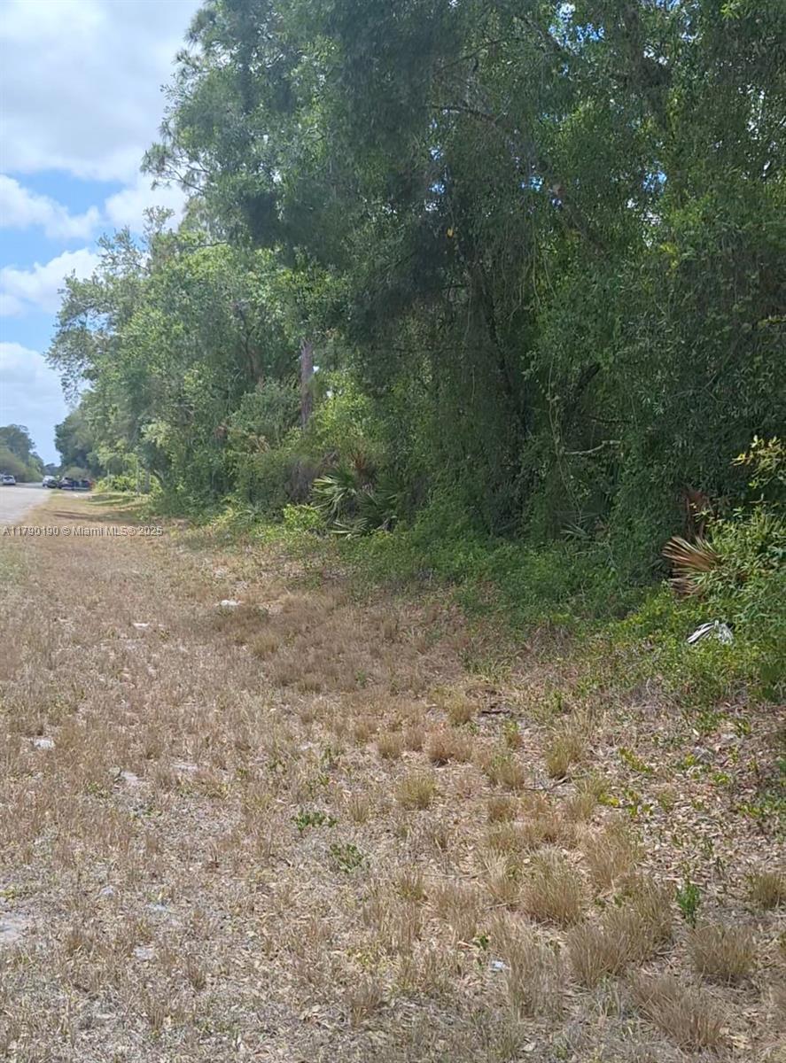 Montura Ranches - Land