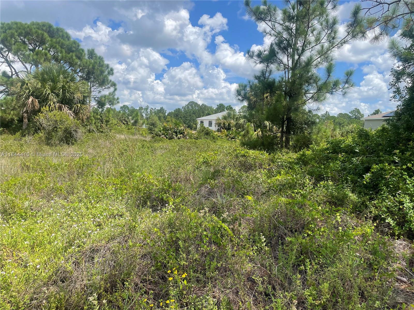 Beautiful land in Leihigh Acres, surrounded by nature. Build the home of your dreams. Close to State Highway 29, 40 minutes from the beach, and 15 minutes from the international airport. Located halfway between major cities, Miami and Tampa.