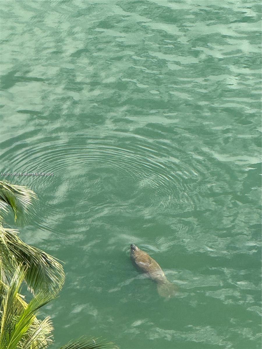 THE MARK ON BRICKELL COND - Residential