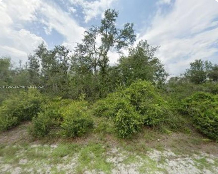 SELLER MOTIVED - NEW REDUCED PRICE: $19,000.00 EXCELLENT OPPORTUNITY FOR YOU TO OWN YOUR OWN LAND OF ALMOST 10,000 SQFT IN A RESIDENTIAL AREA WITH MANY HOUSES ALREADY BUILT AND IN A GREAT NEIGHBORHOOD, 6 MINUTES FROM SUPERMARKET, PET SHOP, FAMILY DOLLAR, PARKS. THE MOST BEAUTIFUL SUNSET ON THE WEST COAST OF FLORIDA IS WAITING FOR YOU AND YOUR FAMILY. OWNER FINANCING AVAILABLE WITH JUST $10K DOWN, DON'T WASTE TIME AND CONTACT US TODAY - LANGUAGES: ENGLISH, PORTUGUESE AND SPANISH AVAILABLE. TEXT OR CALL NOW.