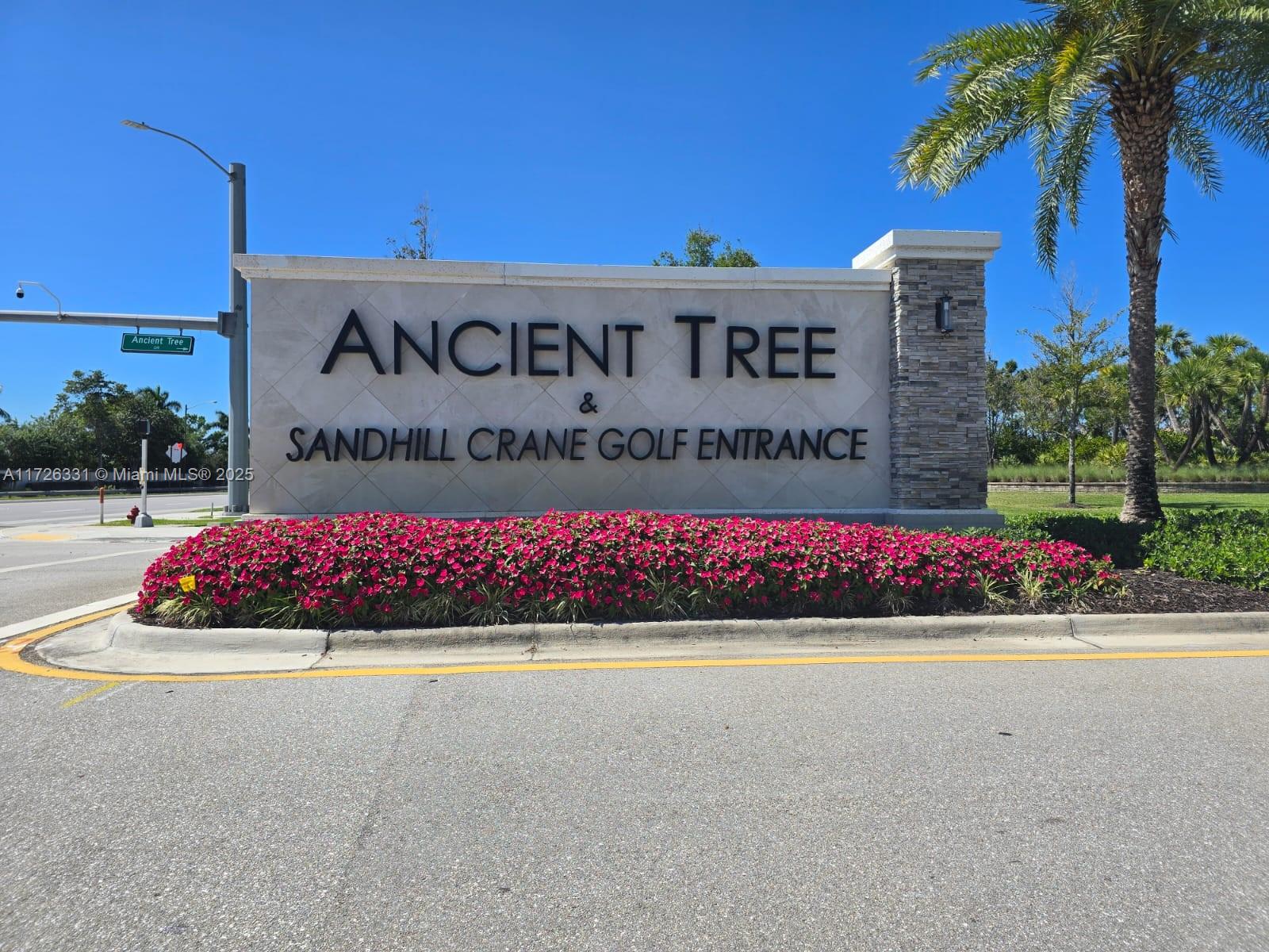 ANCIENT TREE - Residential Lease