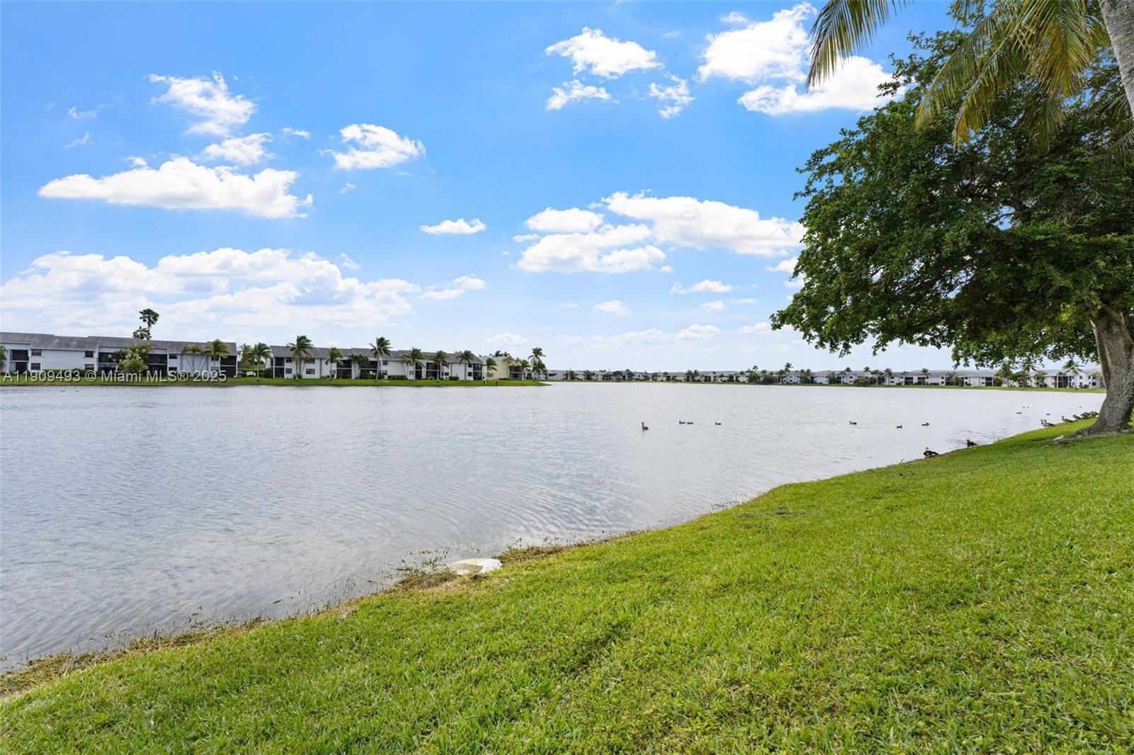 LAKESHORE CONDO 10 - Residential Lease