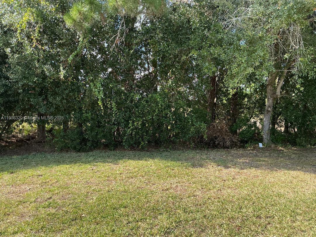 DUCKWOOD - Residential