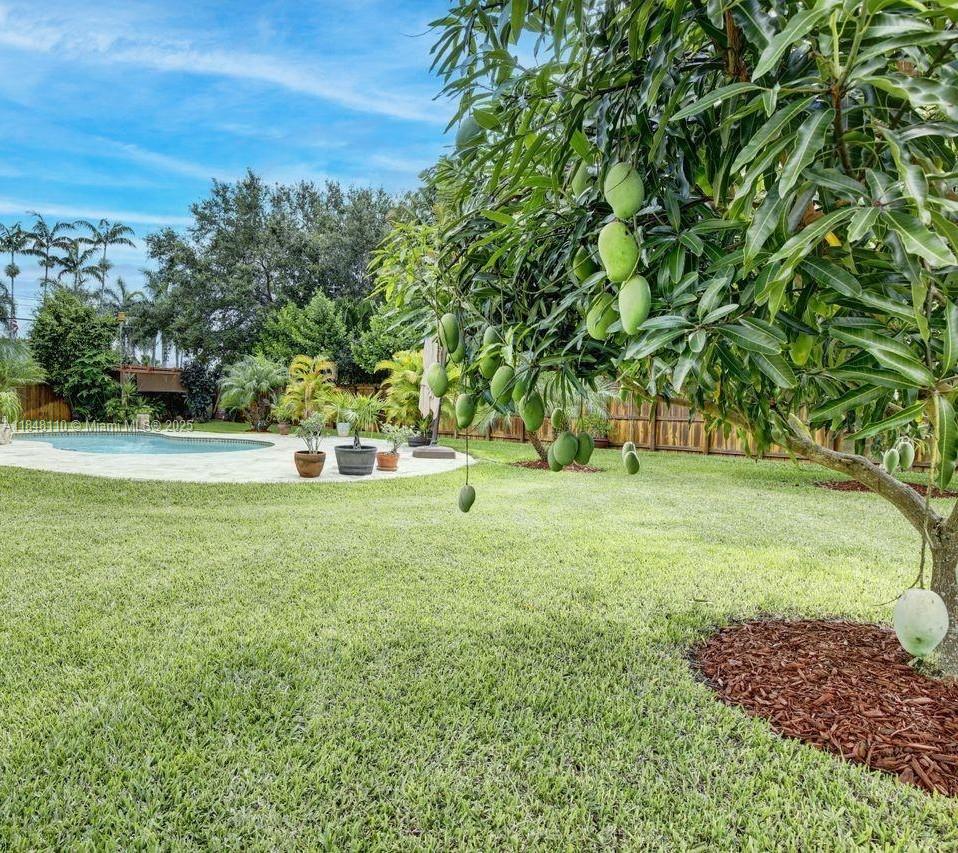 REDLAND REEF - Residential