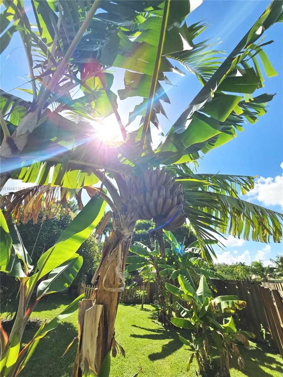 REDLAND REEF - Residential