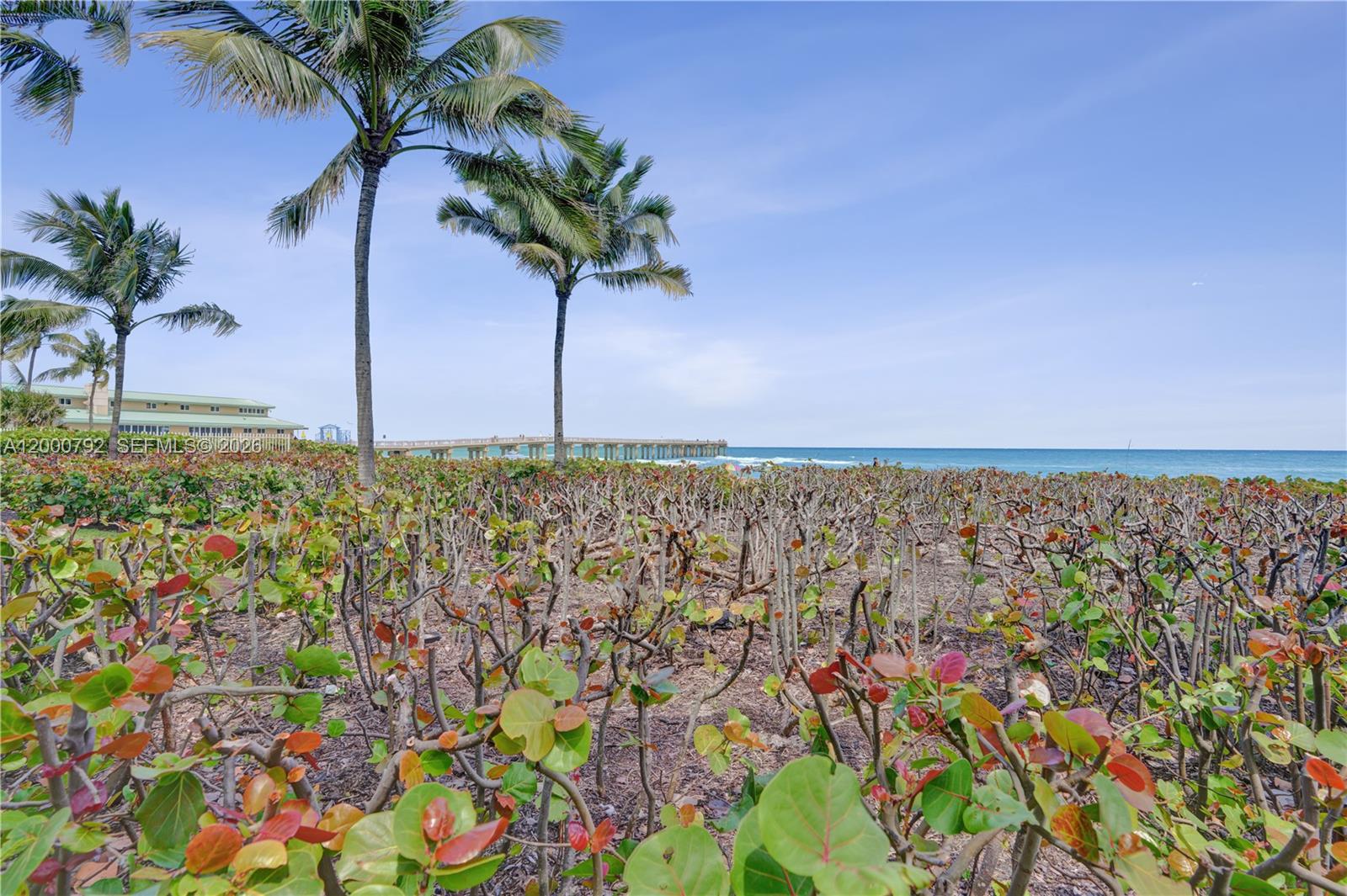 OCEANIA III CONDO - Residential