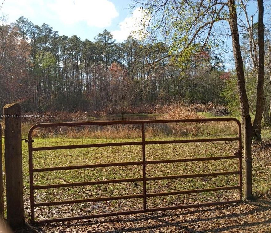 Discover your own piece of paradise w/ this 2.27-acre lot nestled in the serene landscapes of Hastings, Florida. This property offers a blend of natural beauty & modern convenience, making it the perfect canvas for your dream home/investment venture. The property's natural surroundings provide a serene backdrop, offering a respite from the hustle & bustle of city life. Enhancing the property's charm is a clean fully stocked pond, perfect for leisurely fishing or simply enjoying the soothing sights & sounds of water. Situated on a well-maintained road, this lot ensures easy access while providing a sense of seclusion. The convenient road frontage facilitates straightforward development from the close availability of essential utilities streamlining the building to establish your new home.