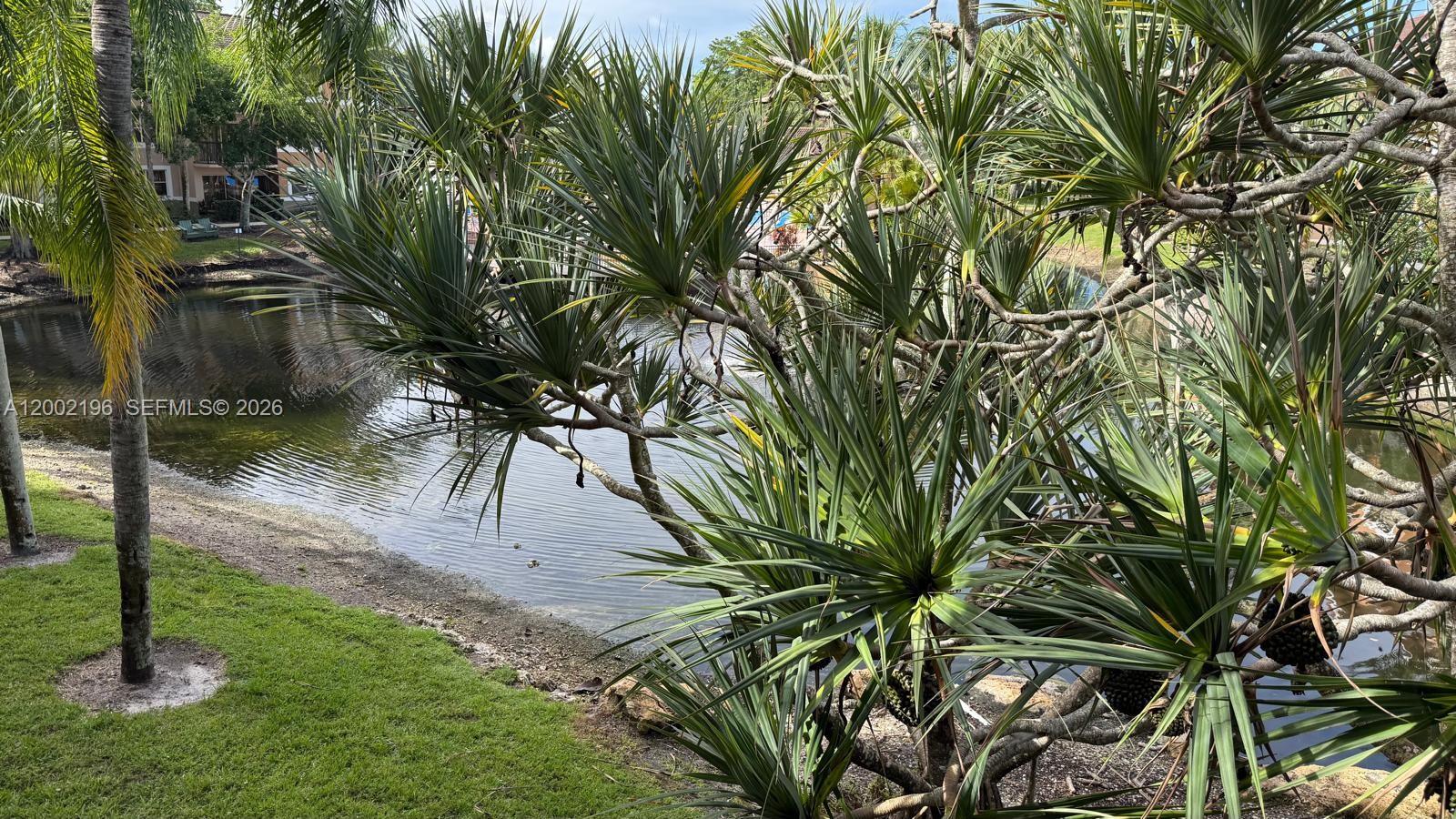 EDGEWATER CONDO - Residential Lease