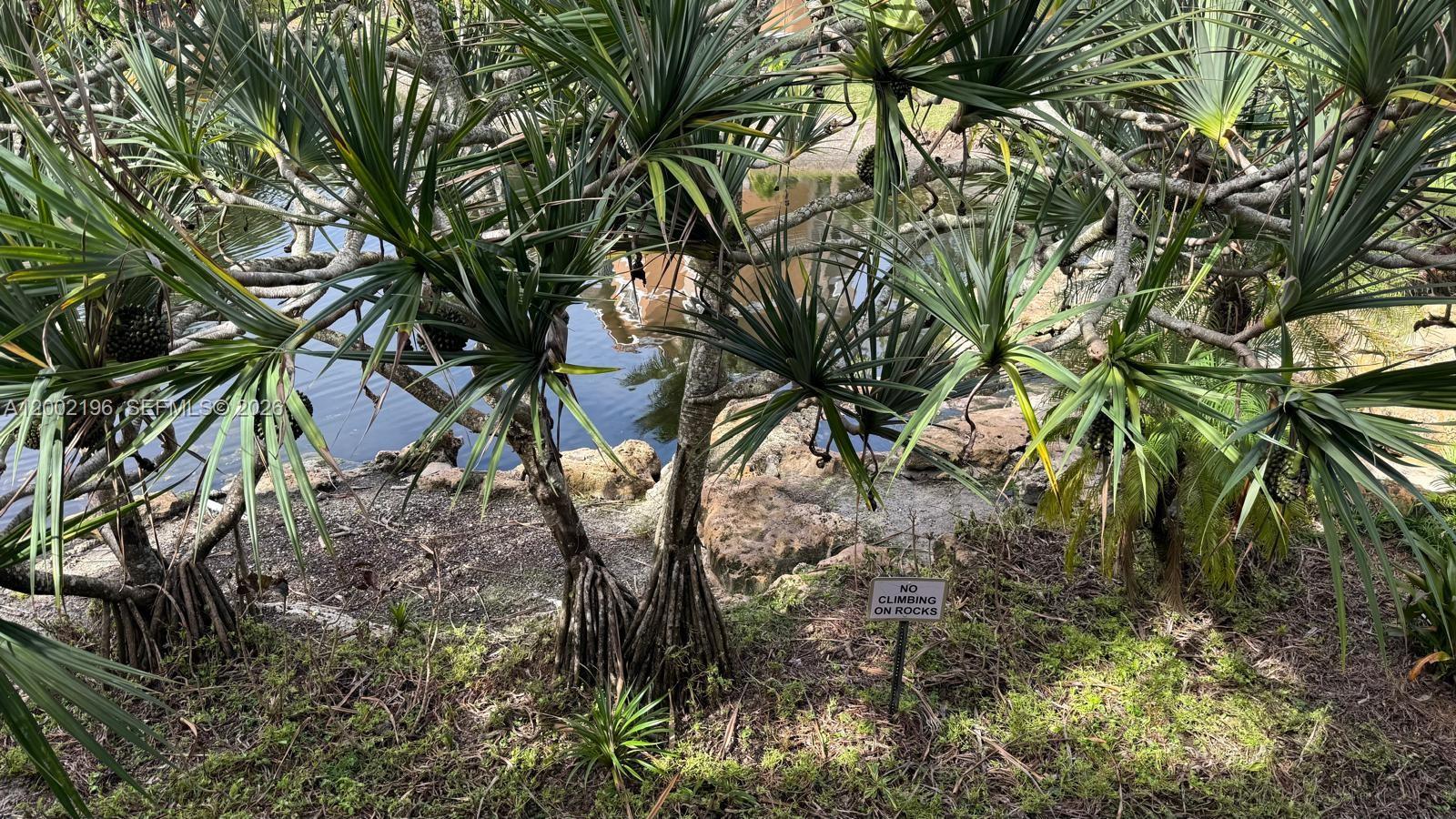 EDGEWATER CONDO - Residential Lease