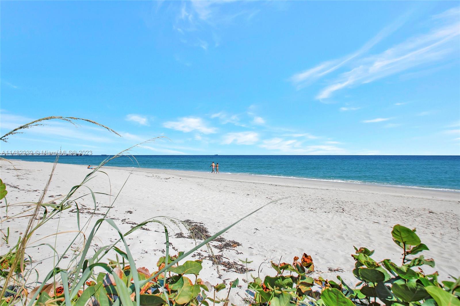 RENAISSANCE ON THE OCEAN - Residential Lease