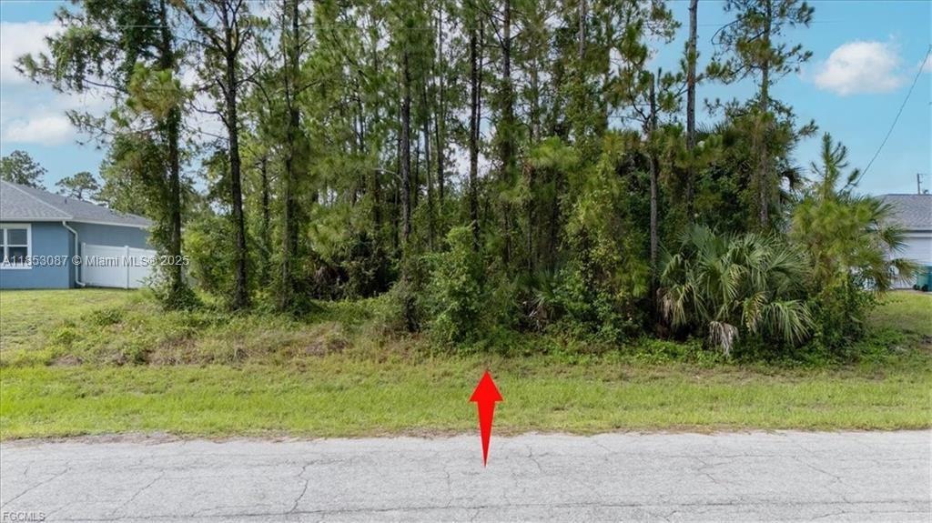 Florida Hendry Land Tracts - Land