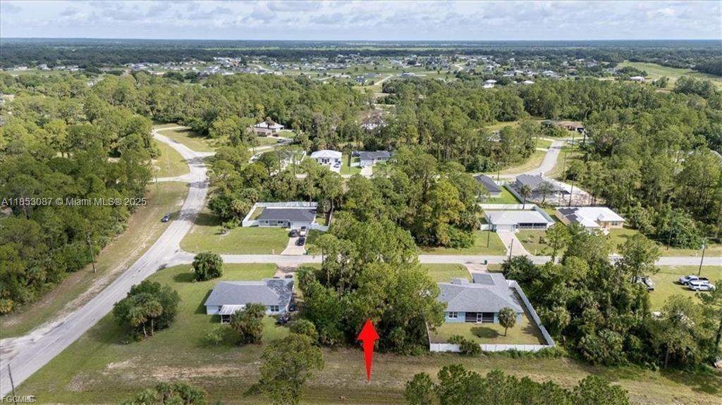 Florida Hendry Land Tracts - Land