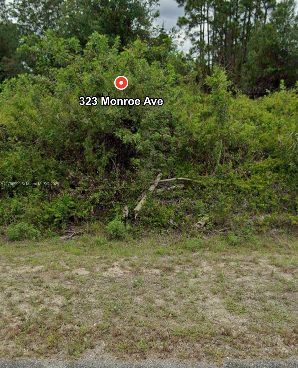 LEHIGH ACRES UNIT 12 REPL - Land