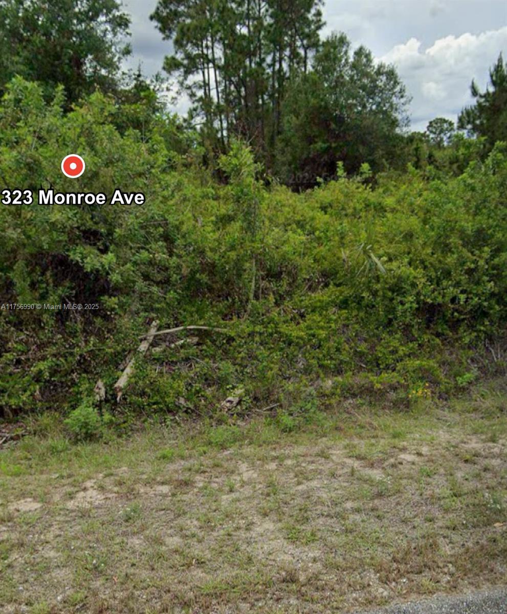 LEHIGH ACRES UNIT 12 REPL - Land