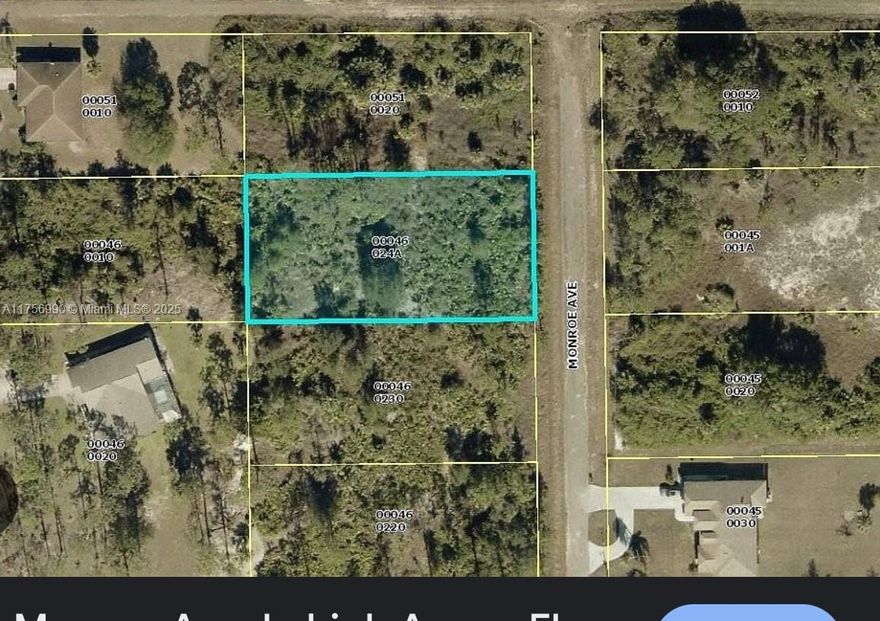 VACANT LOT, BUILD YOUR DREAM HOME IN A FAST AND GROWING COMMUNITY WITH HOUSES BEING BUILT NEAR BY. THE PERFECT CANVAS IN THE HEART OF LEHIGH ACRES. THIS EXPANSIVE LOT REPRESENTS AN INCREDIBLE OPPORTUNITY TO BUILD THAT HOME YOUVE BEEN LOOKING FOR. JUST A SHORT DRIVE AWAY FROM SHOPPING CENTERS, RESTUARANTS, SCHOOLS, AND RECREATIONAL FACILITIES. MOREOVER, WHETHER YOU'RE A FIRST TIME HOME BUYER LOOKING TO CREATE YOUR DREAM HOME OR AN INVESTOR LOOKING FOR A GREAT LOCATION. ITS JUST A GREAT OPPORTUNITY.