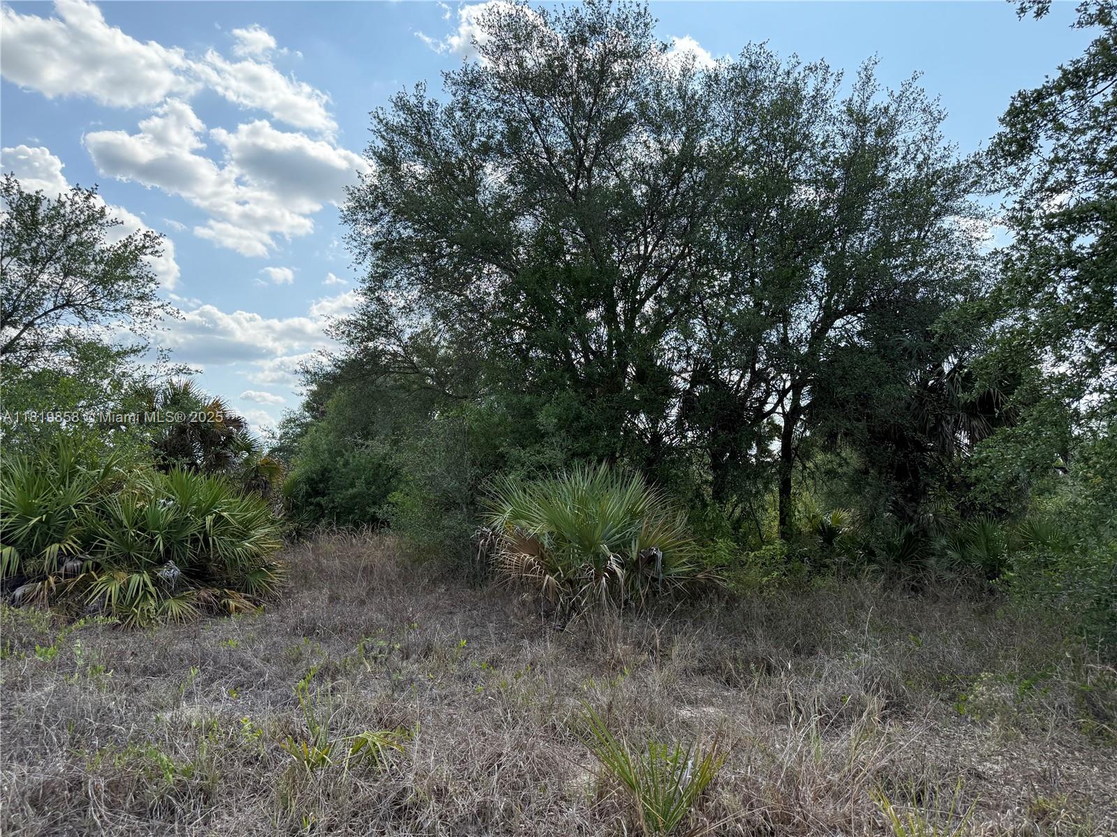 1.25 ACRES AT THE NORTH OF MONTURA RANCH ESTATES, AVENIDA DEL SUR AND VERDA! GREAT LOCATION YOU CAN DECIDE THE TREES YOU WANT IT!!! PRICE TO SELL FAST!! BEST OPTION IN THE MARKET! NO WETLAND! GREAT INVESTMENT OPPORTUNITY! YOU CAN BUILD YOUR DREAM HOUSE OR INSTALL YOUR MOBILE HOME ENDLESS POSSIBILITIES!!! YOU CAN HAVE YOUR WEEKEND GETAWAY FROM THE CITY, JUST 65 MILES FROM WESTON, 90 MILES FROM MIAMI, YOU CAN HAVE YOUR FARM ANIMALS AND ENJOY THE CAMP STYLE OF MONTURA RANCH ESTATE YOU CAN GO DIRECTLY TO THE PROPERTY AND CALL ME OR TEXT ME IF YOU NEED ANY EXTRA INFORMATION