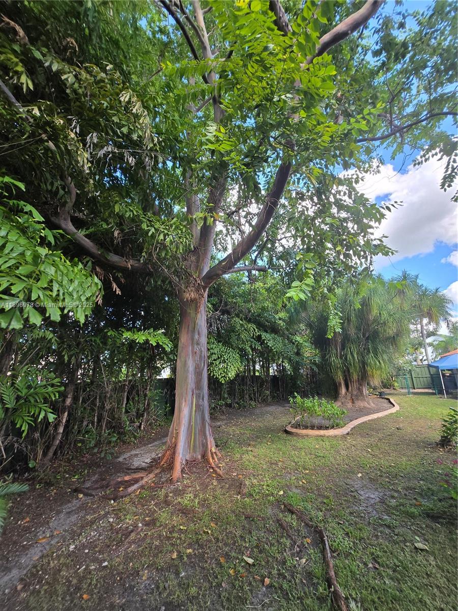 LINDGREN WEST - Residential