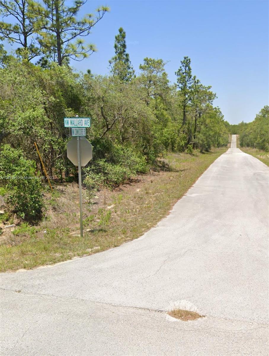 View Ocala, FL 34431 land