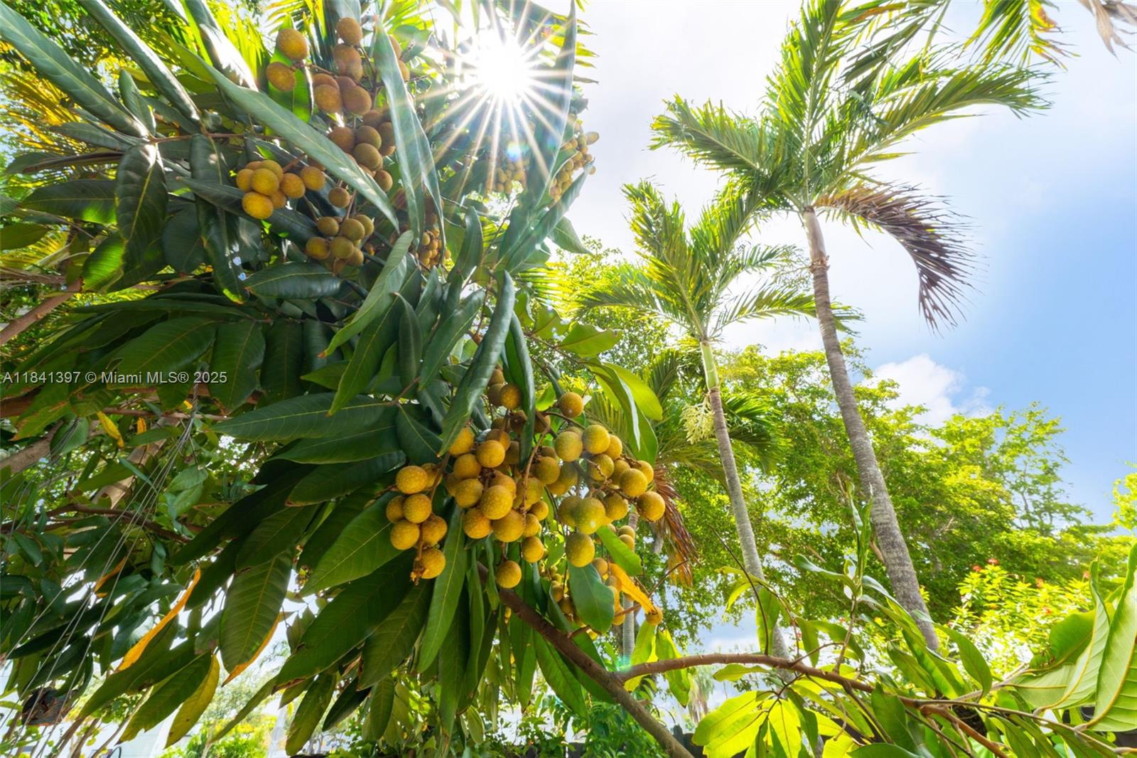 PARK VILLAS AT HAMMOCKS C - Residential