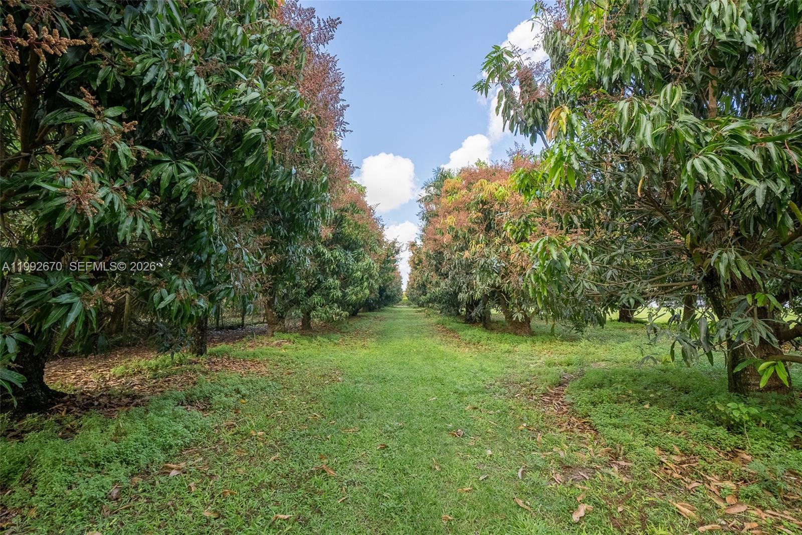 8900 INTERIM-AWAIT SPECIFI - Residential