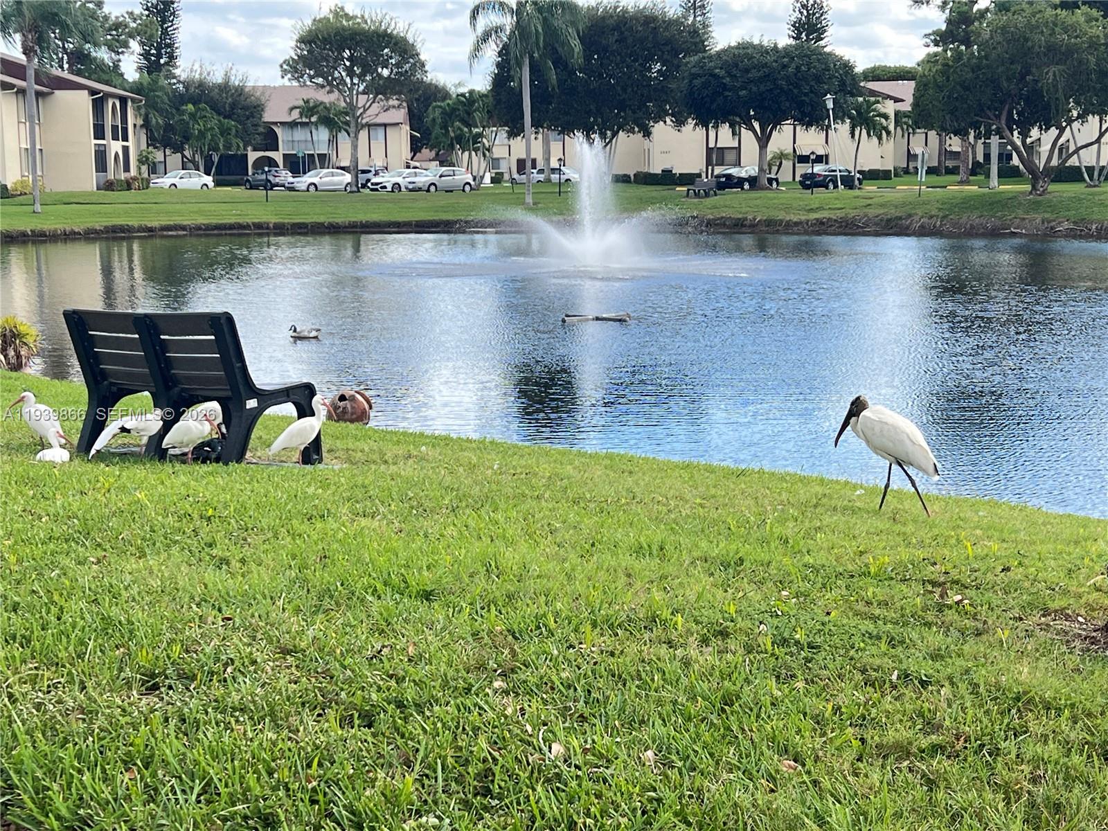 LA PINATA CONDO - Residential