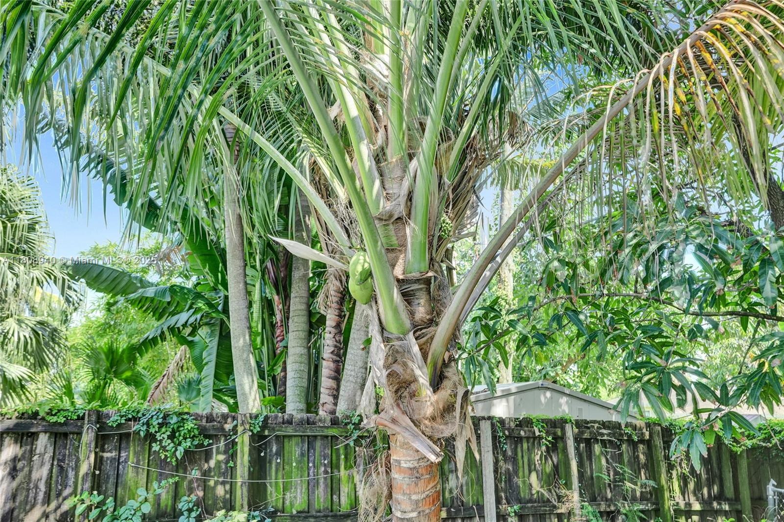 LAUDERDALE VILLAS - Residential Lease