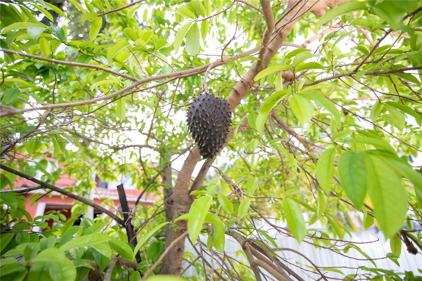 WONDERLY ESTATES SEC 3 - Residential