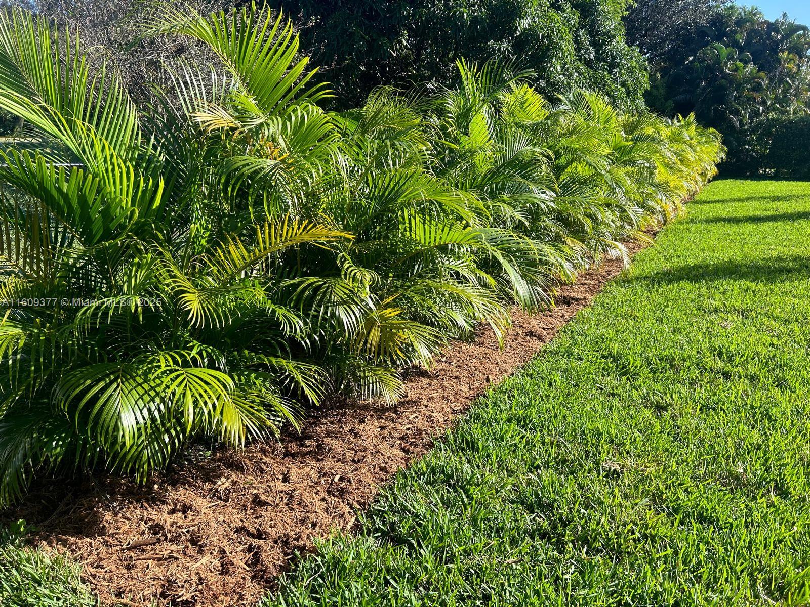 FLA FRUIT LANDS CO - Residential