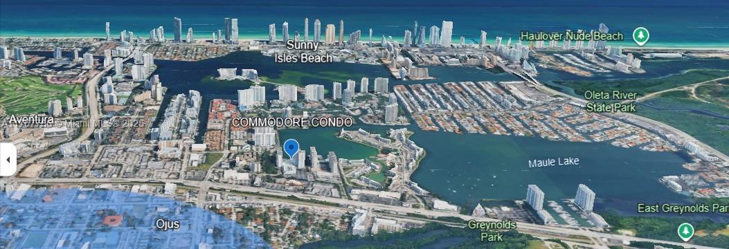 COMMODORE PLAZA CONDO - Residential