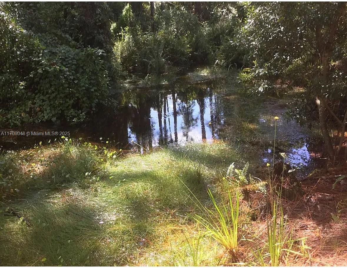 Surveyed and environmentally cleared lot. This high and dry undeveloped parcel is ready to build your dream home or your vacation homes. This parcel embarks to ta small canal. Lake Placid is a hidden gem and has so much room for growth with a population of about 2306 residents as of 2020; it is one of Florida's most charming small towns and has 2 freshwater lakes, great for boating and fishing. It has earned the title of the "Town of Murals" and the "Caladium Capital of the World". Own a piece of Florid and build your home to start enjoying the quiet sittings and natural beauty this property has to offer. For a small optional fee of 25 a year, Placid Lakes provides access to a boat ramp, beachfront, a children's playground, fishing dock, picnic area and access to Lake June.