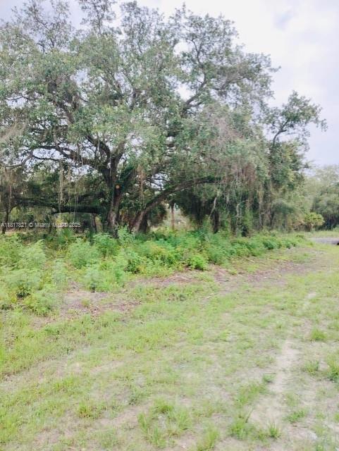 MONTURA RANCH ESTATES 1 ST - Land