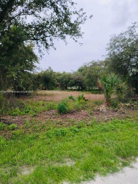 MONTURA RANCH ESTATES 1 ST - Land