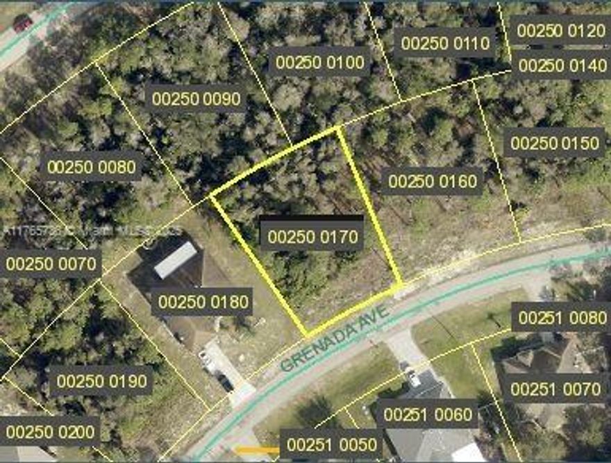 Great lot to build in quiet neighborhood of Lehigh Acres, easy access to Hwy 82 to Ft Myers and Immokalee. Close to Fort Myers Airport, Naples area, beaches, schools, banks and restaurants.